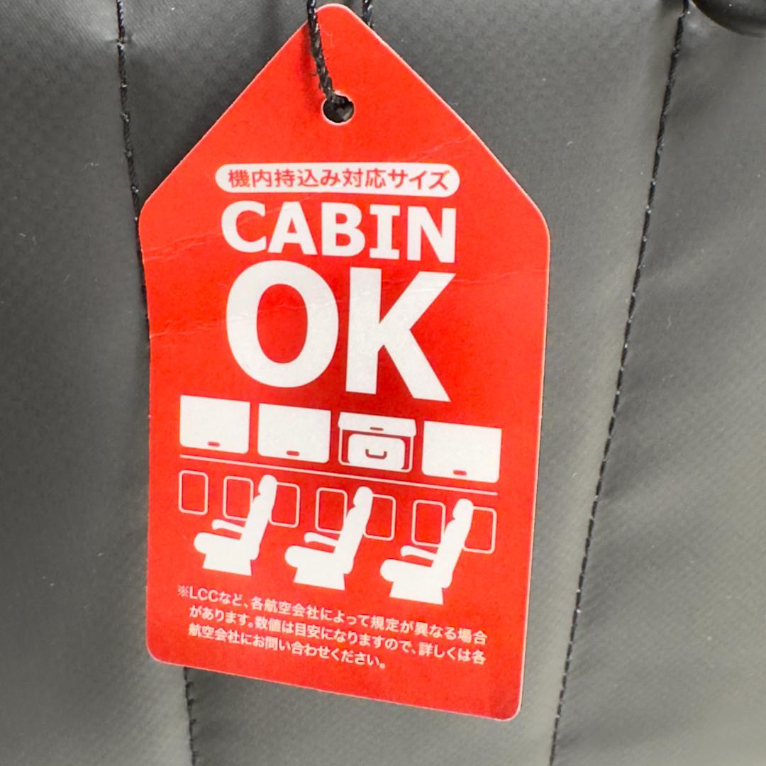 新品、未使用 HW DESIGN 3WAYで使えるバックパックキャリー