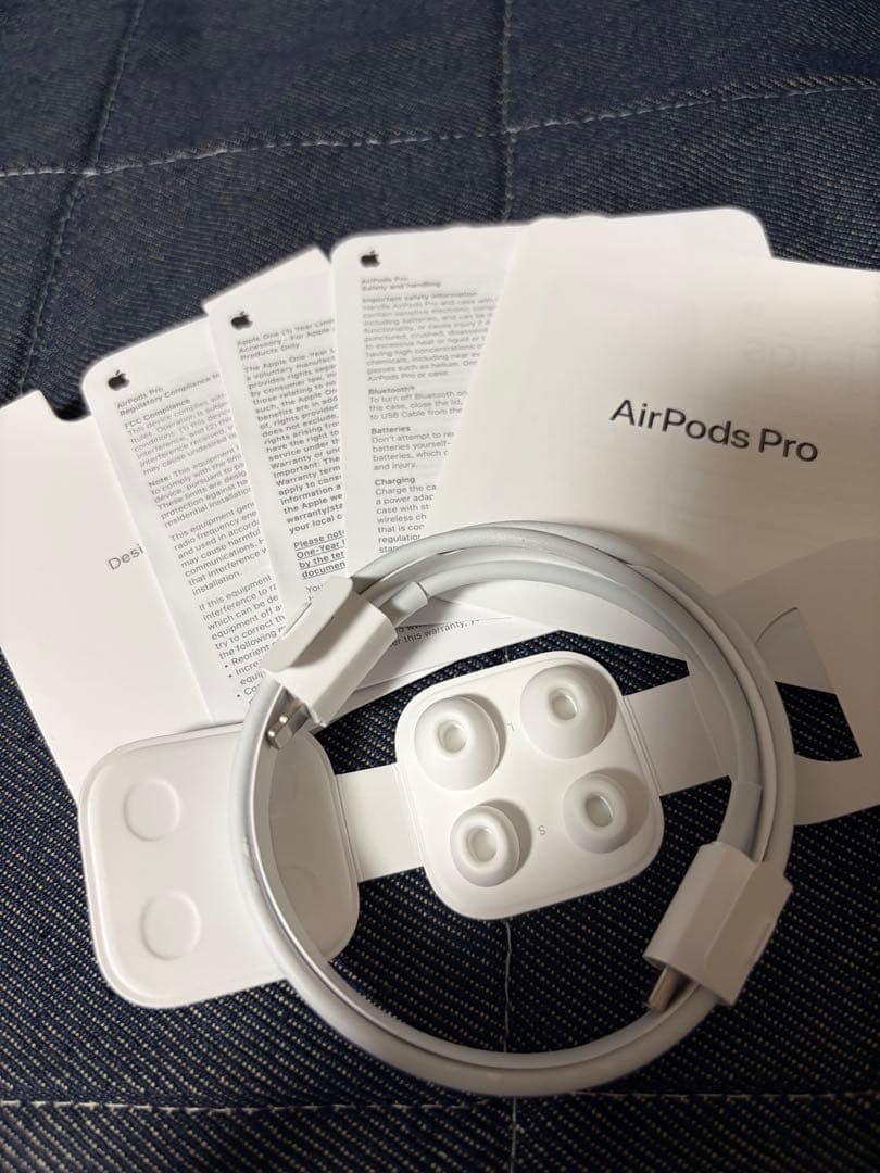 AirPods Pro 第1世代 箱付 付属品完備 美品