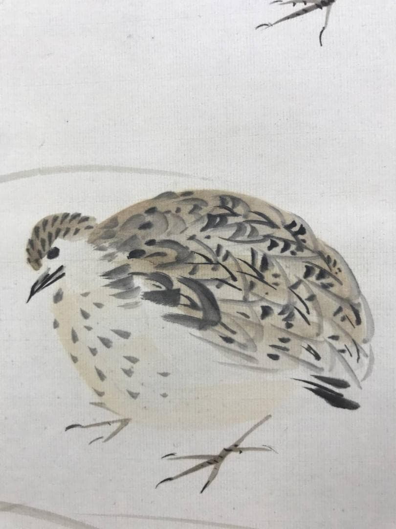 真作/矢野橋村/秋草鶉図/花鳥図/ウズラ図/掛軸☆宝船☆AE-406