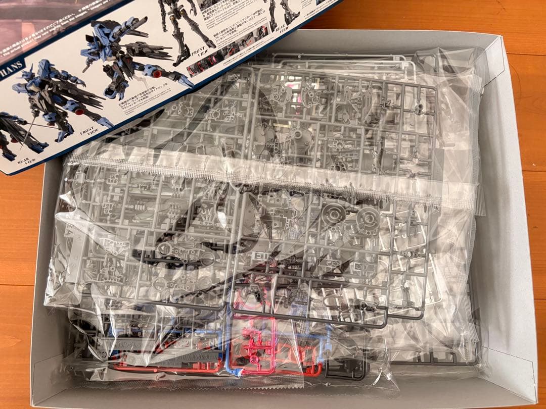 MGガンダムヴィダール