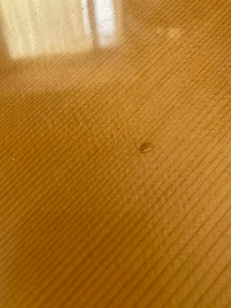 単板 美音 アコギ Morris M-12ⅡNAT アコースティックギター