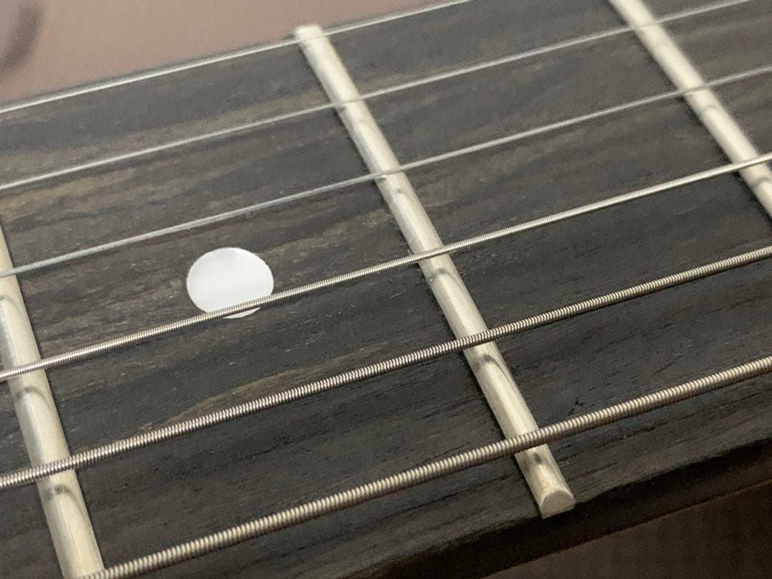 SELDER セルダー ストラトキャスター タイプ エレキギター 黒 緑 igb