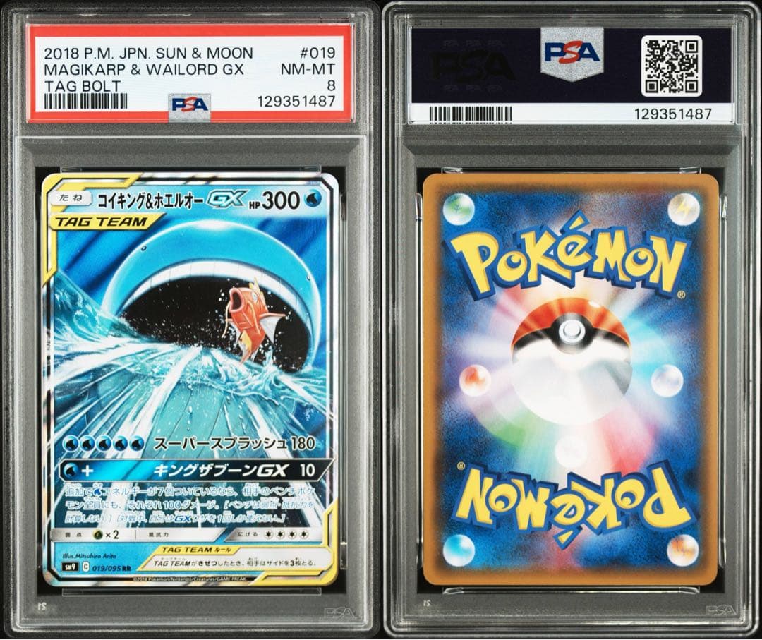 まとめ売り 【PSA8・9】 TAG TEAM タッグチーム 6枚セット