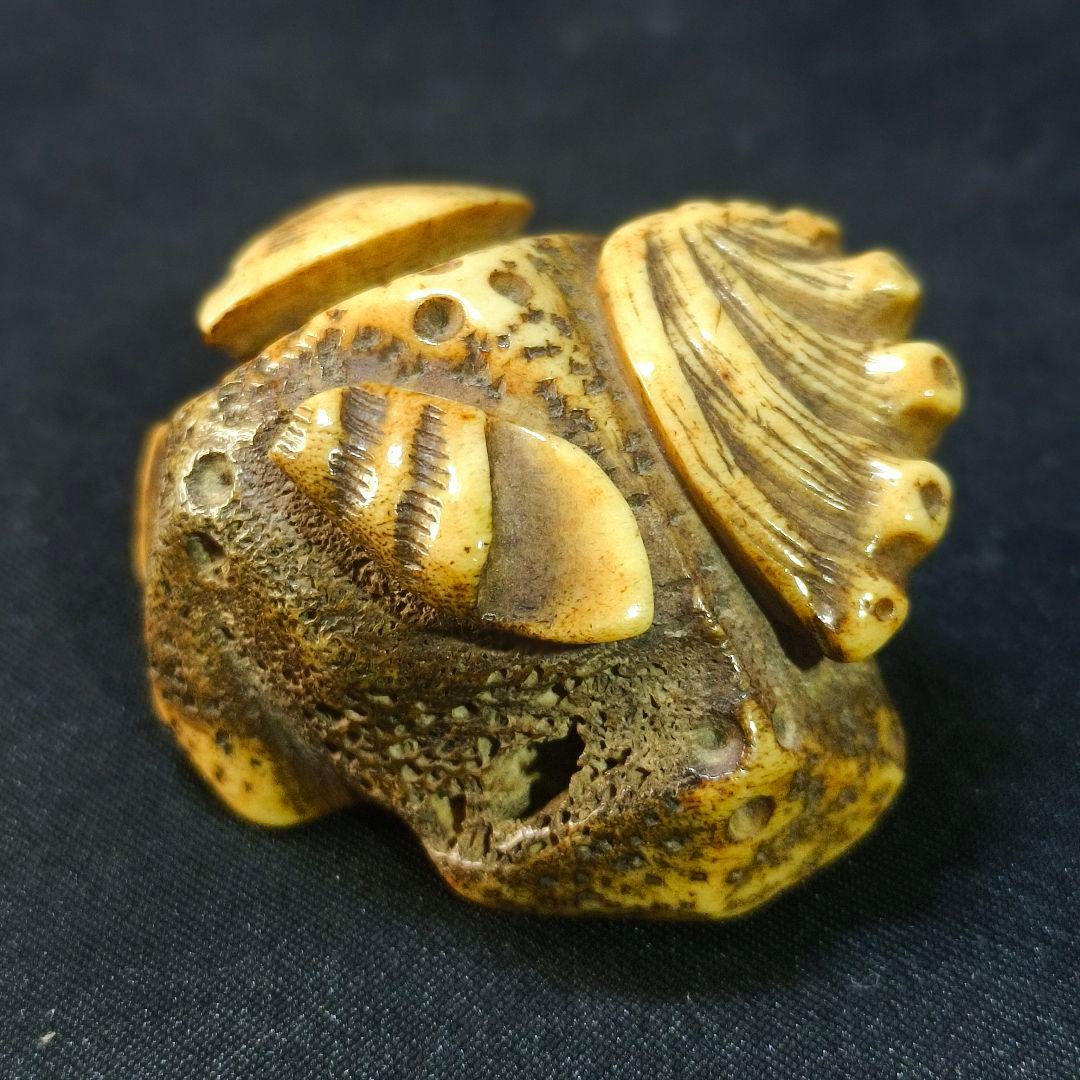 根付 貝尽くし 鹿角彫り 江戸骨董 古美術品 旧家蔵出美品 蒐集家放出 時代物