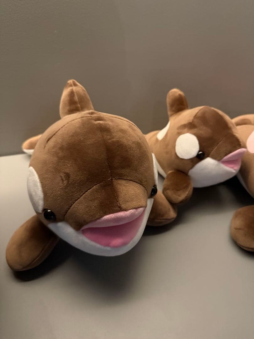 オルカくじ　新色　ショコラ・デュオ　3等　4等　4匹セット　須磨シーワールド