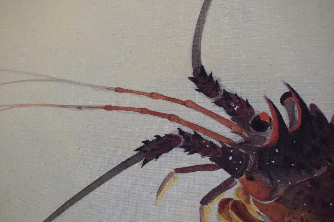 【真作】山本紅雲/海老之図/横物/伊勢エビ図/掛軸☆宝船☆Y-939　JM