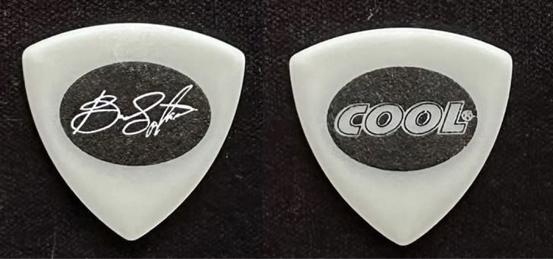 Bruce Springsteen ギターpick 2025 ツアー