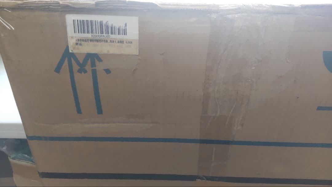 人体骨格模型 170cm等身大