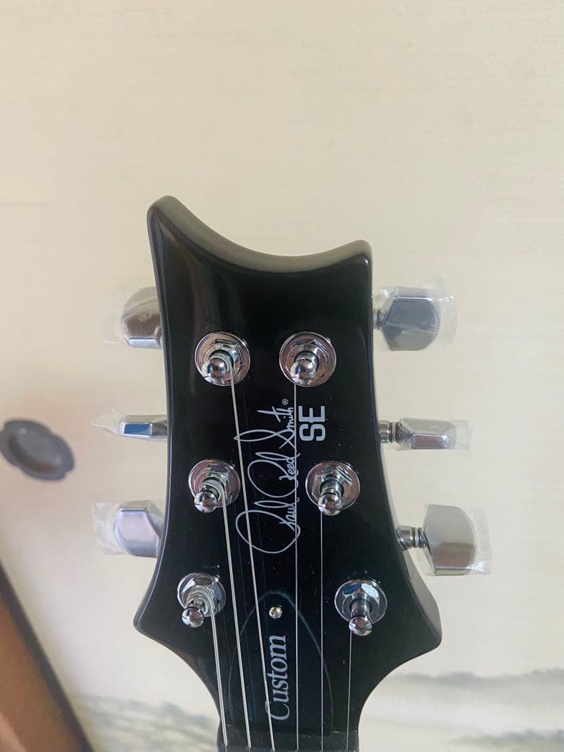 【試奏のみ】PRS SE Custom24 Whale Blue