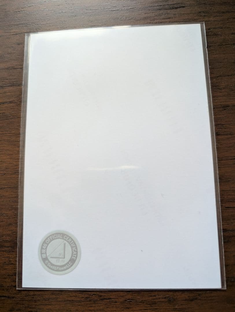 【即購入可】櫻坂46 守屋麗奈 直筆生写真 2023年クリスマスサンタ衣装 ヒキ