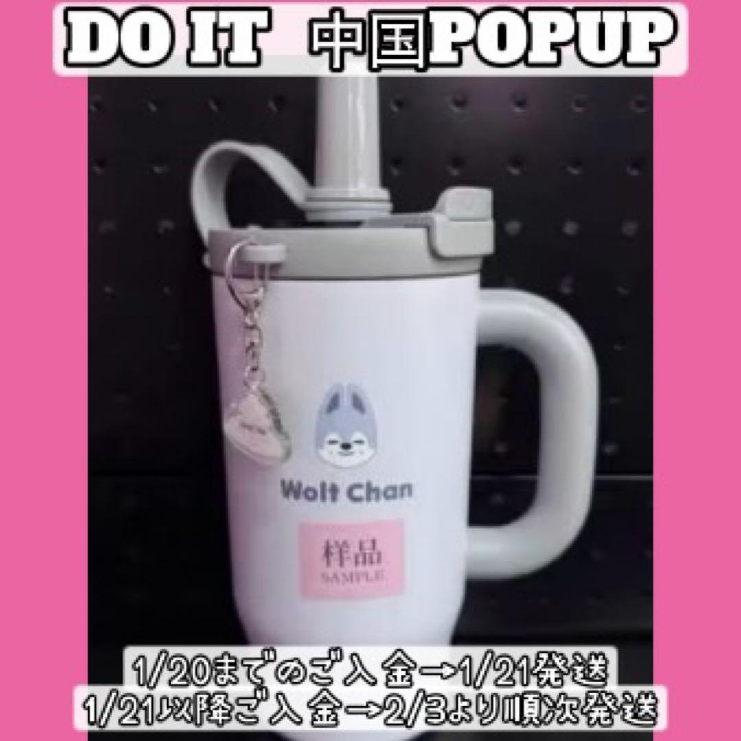 straykids POPUP SKZOOタンブラー　ウルフチャン　バンチャン