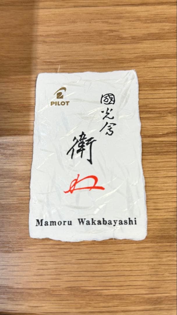 パイロット万年筆18K750 -M-巳Pilot Namiki(蒔絵)