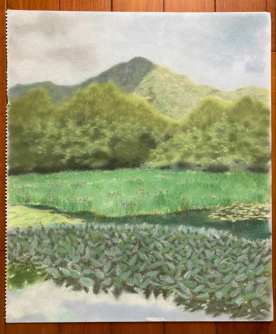 湿原の5月　パステル画
