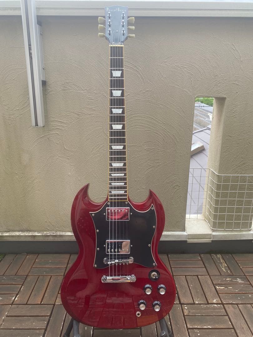 Photo Genic SG-250(フォトジェニック SGタイプ)