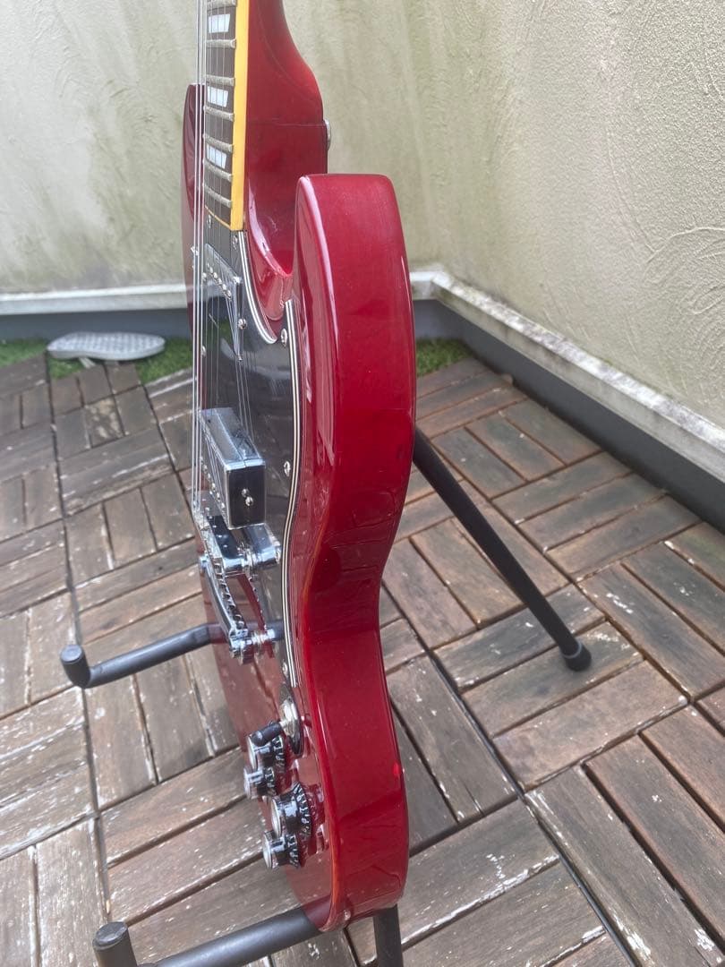 Photo Genic SG-250(フォトジェニック SGタイプ)