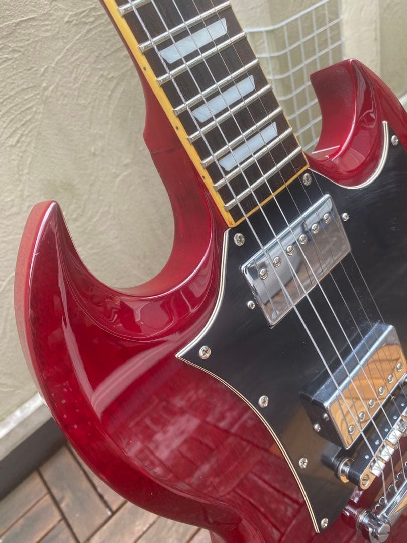 Photo Genic SG-250(フォトジェニック SGタイプ)