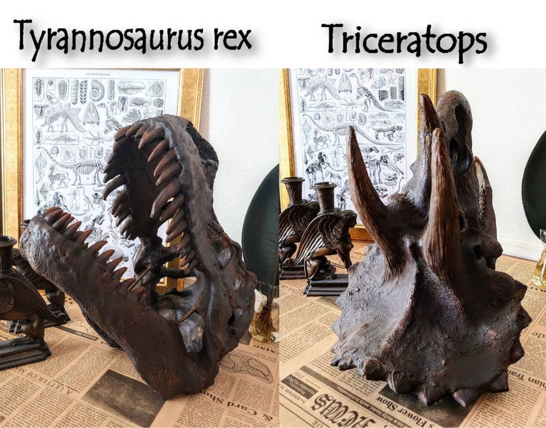 お得な２個セット！ ティラノサウルス 化石 インテリア 雑貨 オブジェ