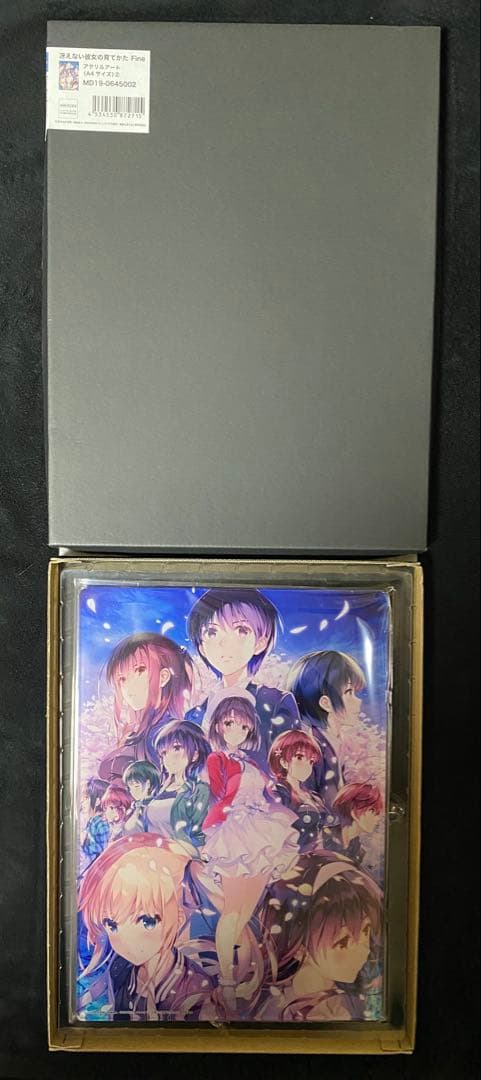 【値下げ】冴えない彼女の育てかたfine 劇場グッズ 特典小説など