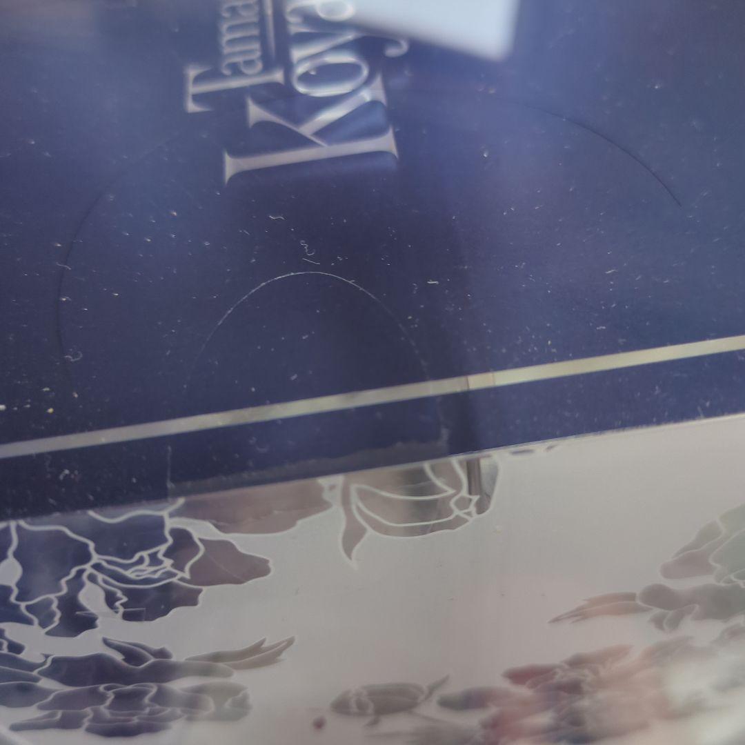 Fate/Grand Order タマモヴィッチ・コヤンスカヤ チャイナドレス