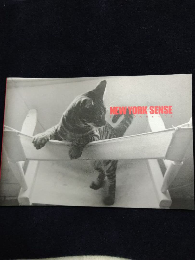 少女漫画 BANANA FISH SPECIAL BOX