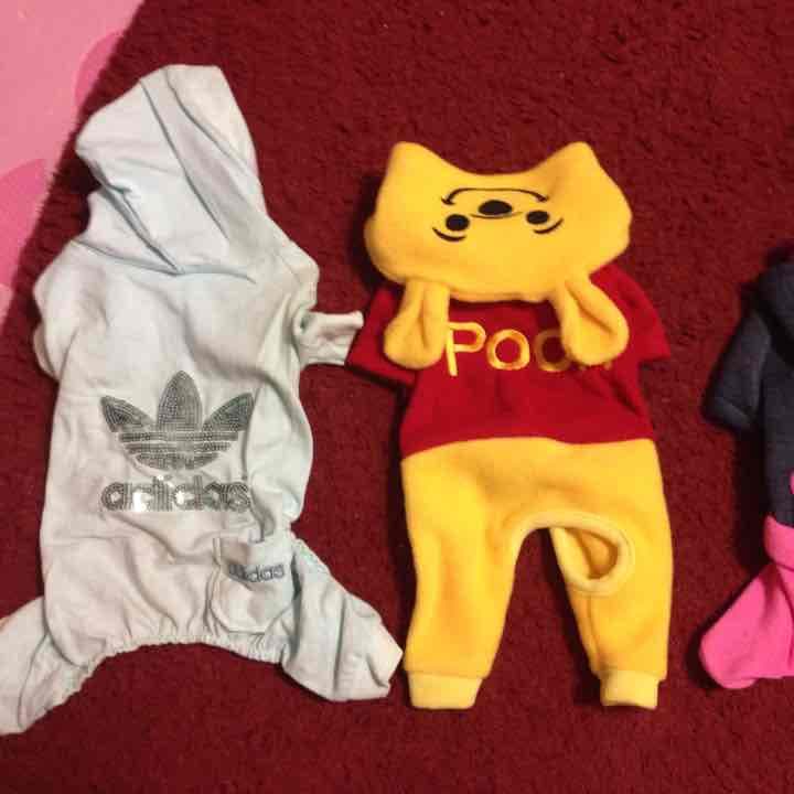 ペット 服 男の子 未使用 レディ 犬