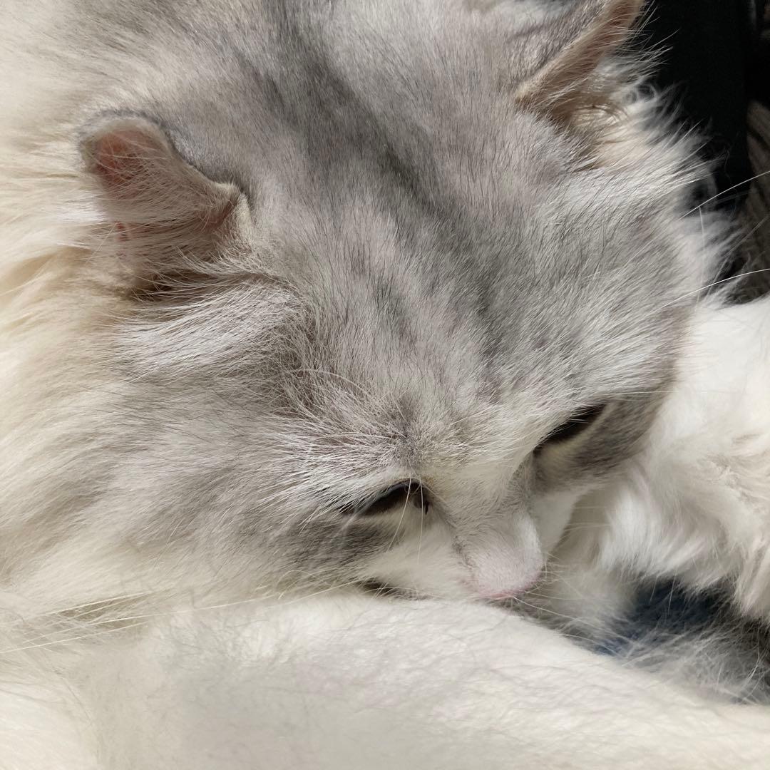 3点おまとめになります。