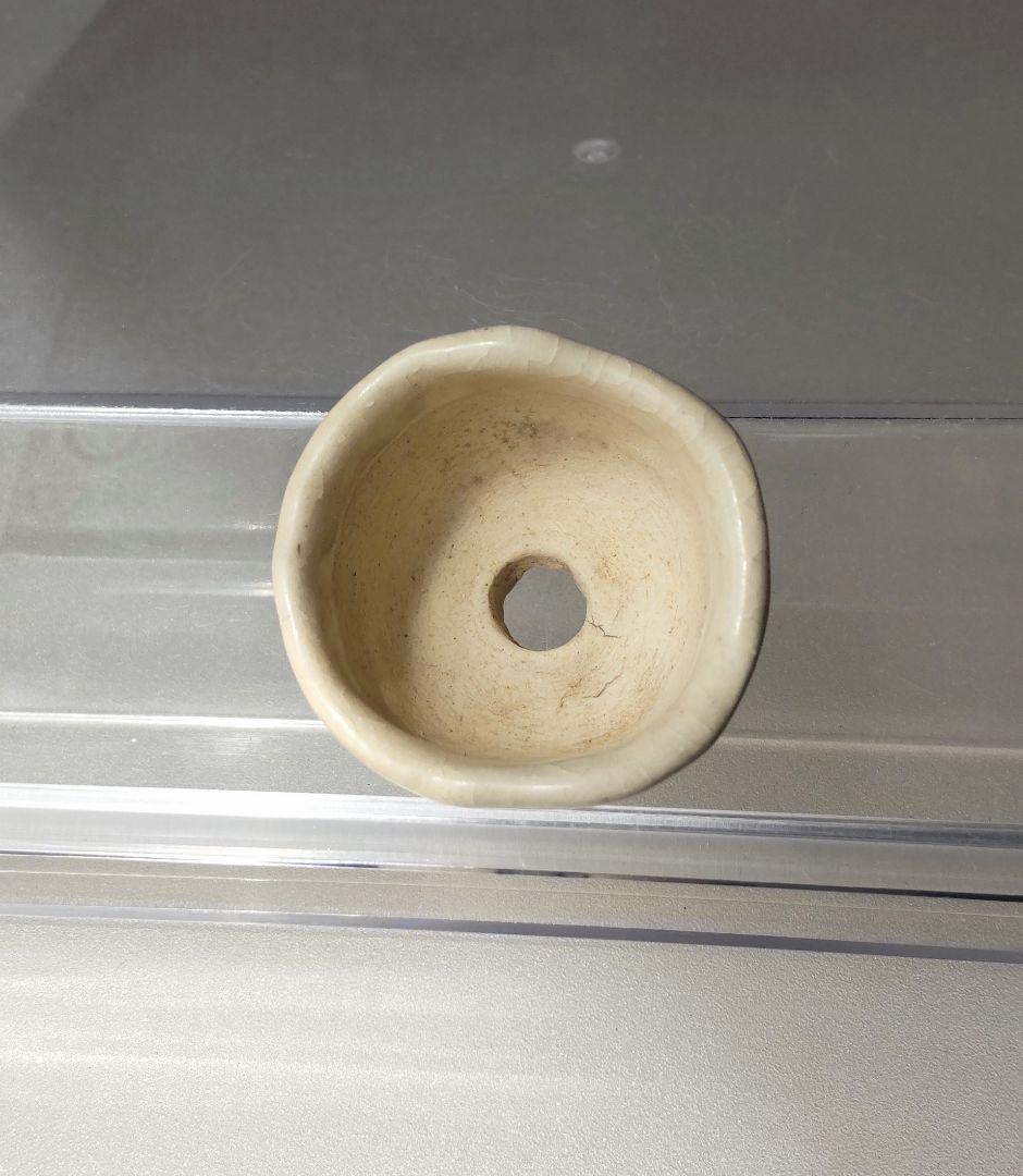 【レア】天山×花扇コラボ　ミニ盆栽鉢