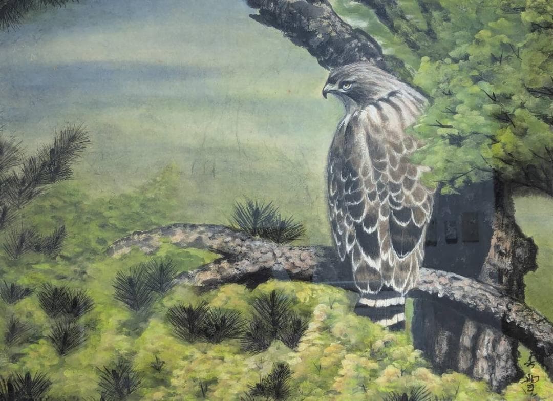 【真作】絵画　日本画　静寂の森の鷹　伝統技法による自然美　精緻な描写　V90