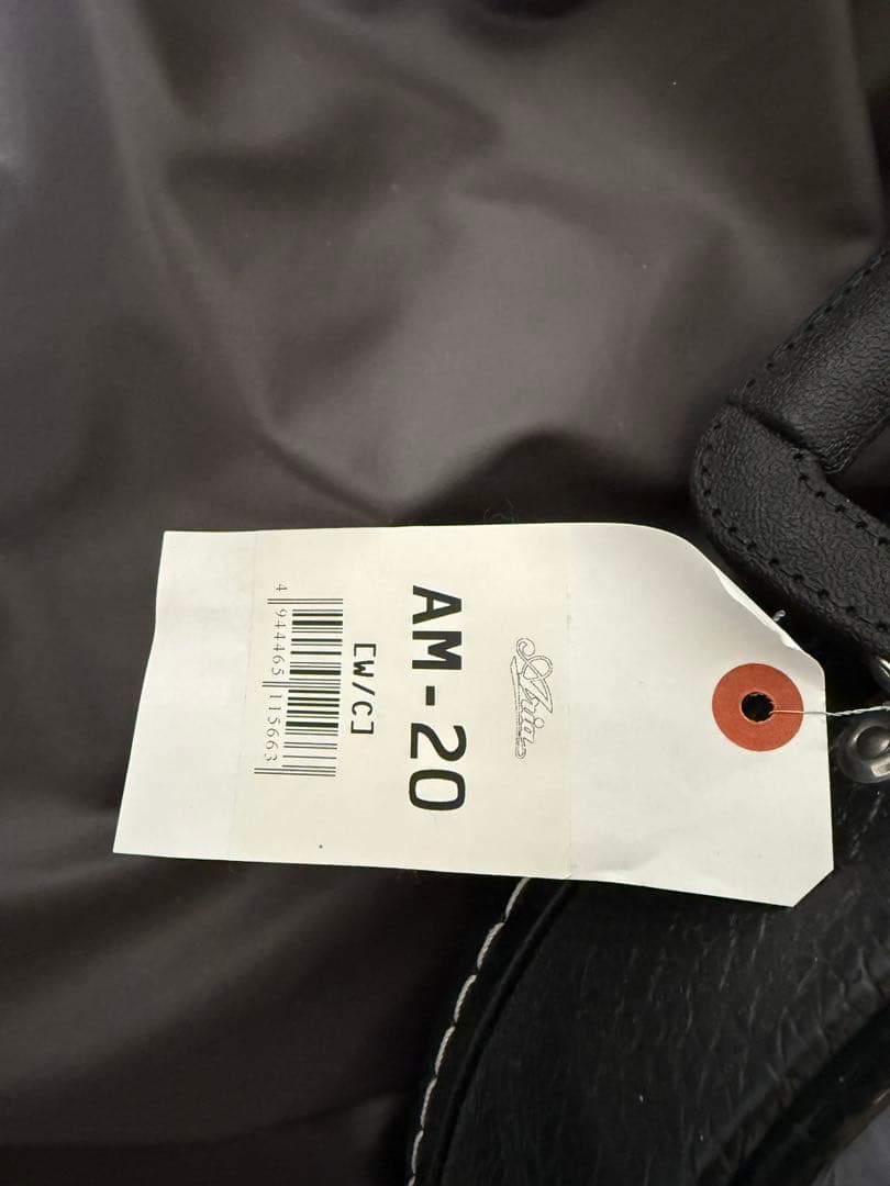 Aria AM-20 マンドリン 本体　ケース付き