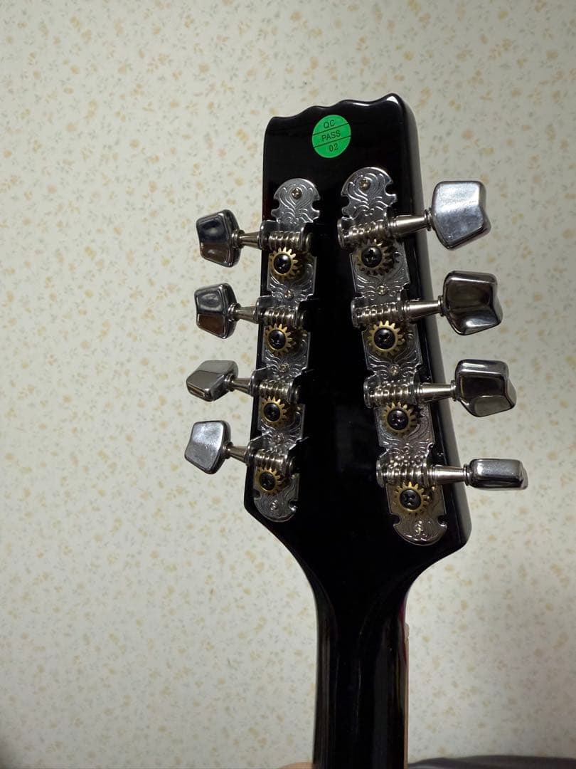 Aria AM-20 マンドリン 本体　ケース付き