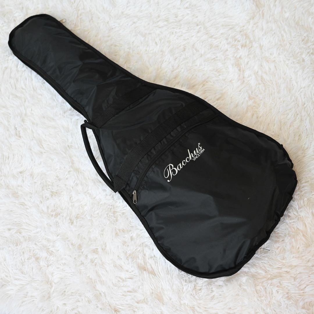 バッカス　レスポールスタンダードタイプ　ソフトケース付き