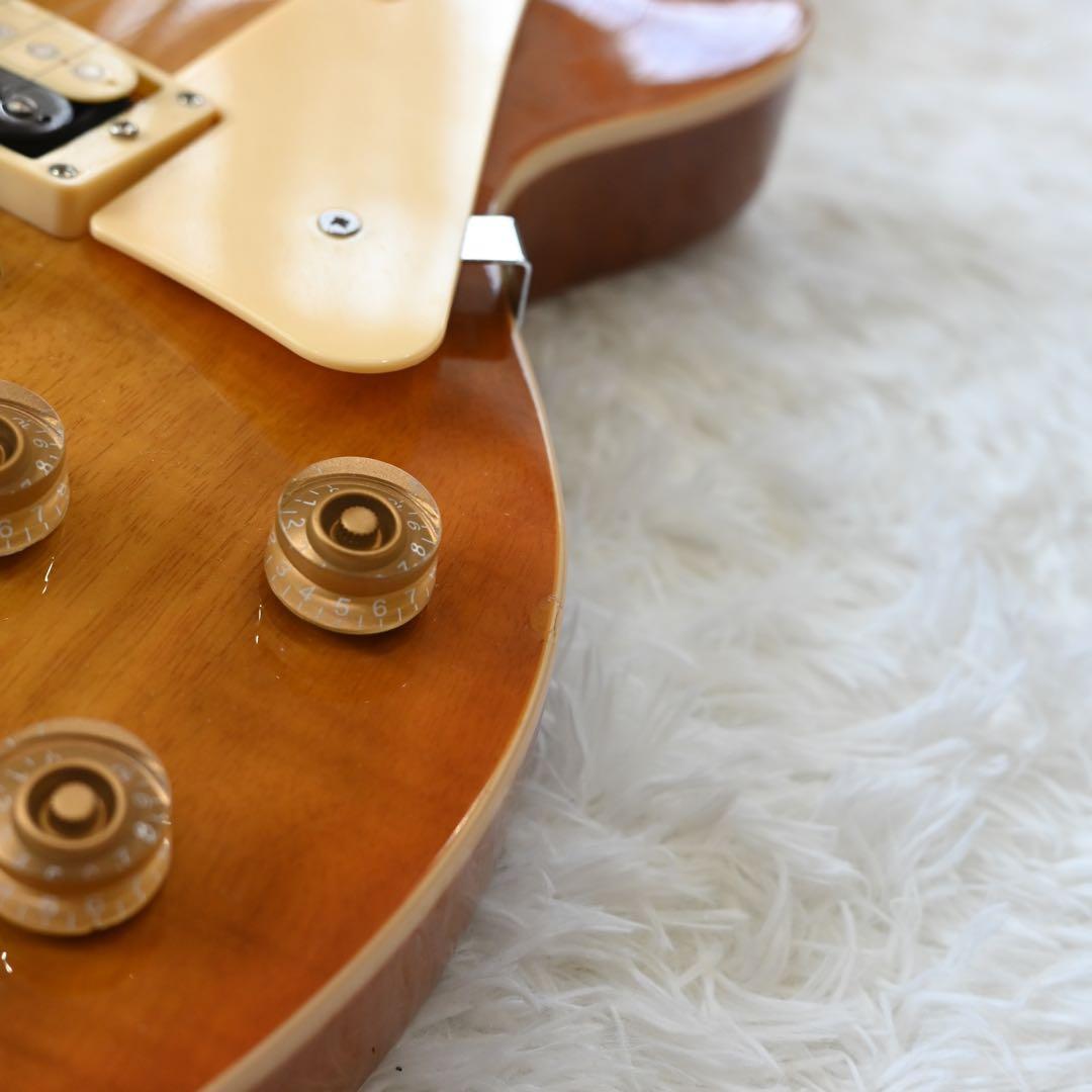 バッカス　レスポールスタンダードタイプ　ソフトケース付き