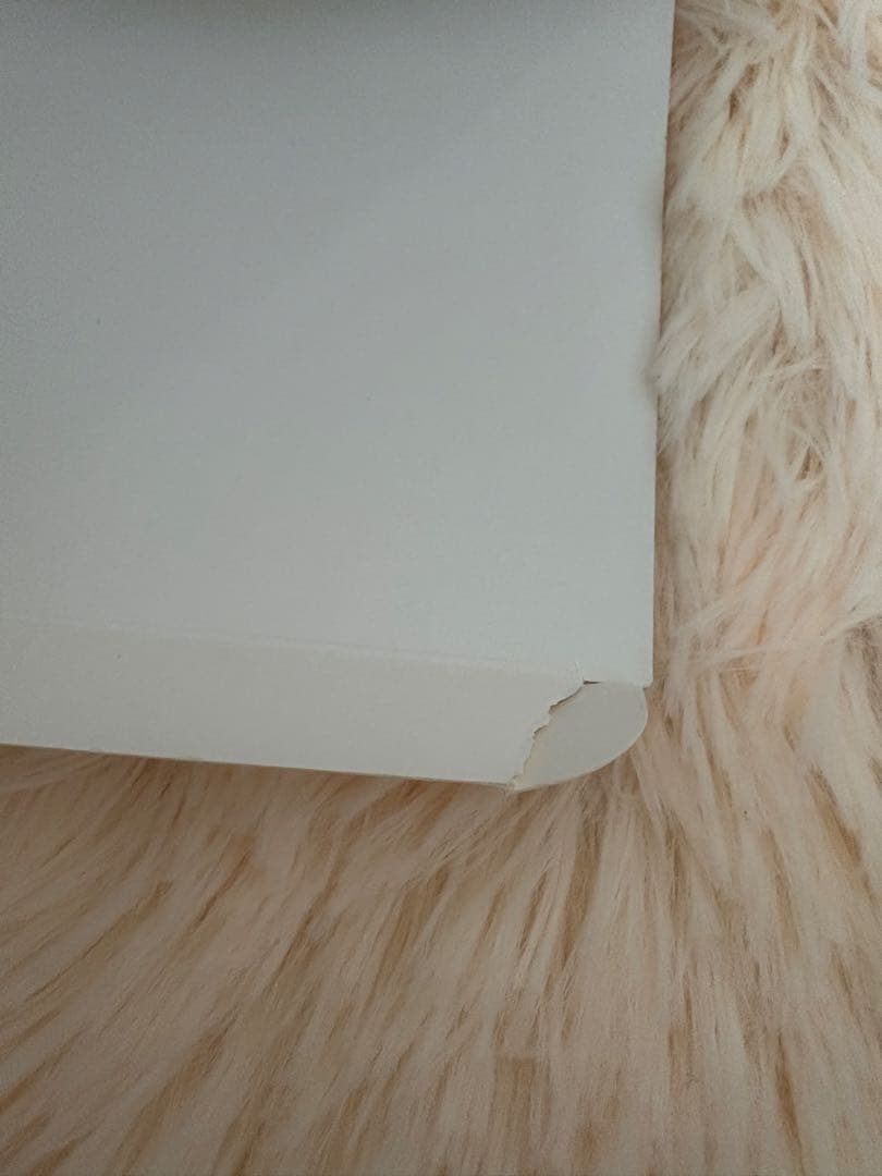 アイドル FRUITS ZIPPER OFFICIAL FAN LIGHT