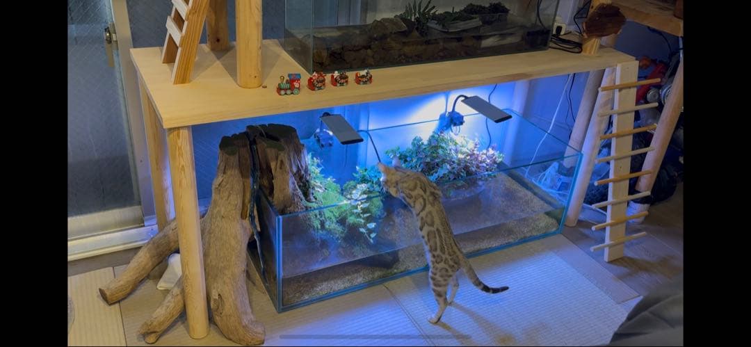 走*剣様 ガラス水槽120✖️45✖️35 と　 ガラス90 22 30