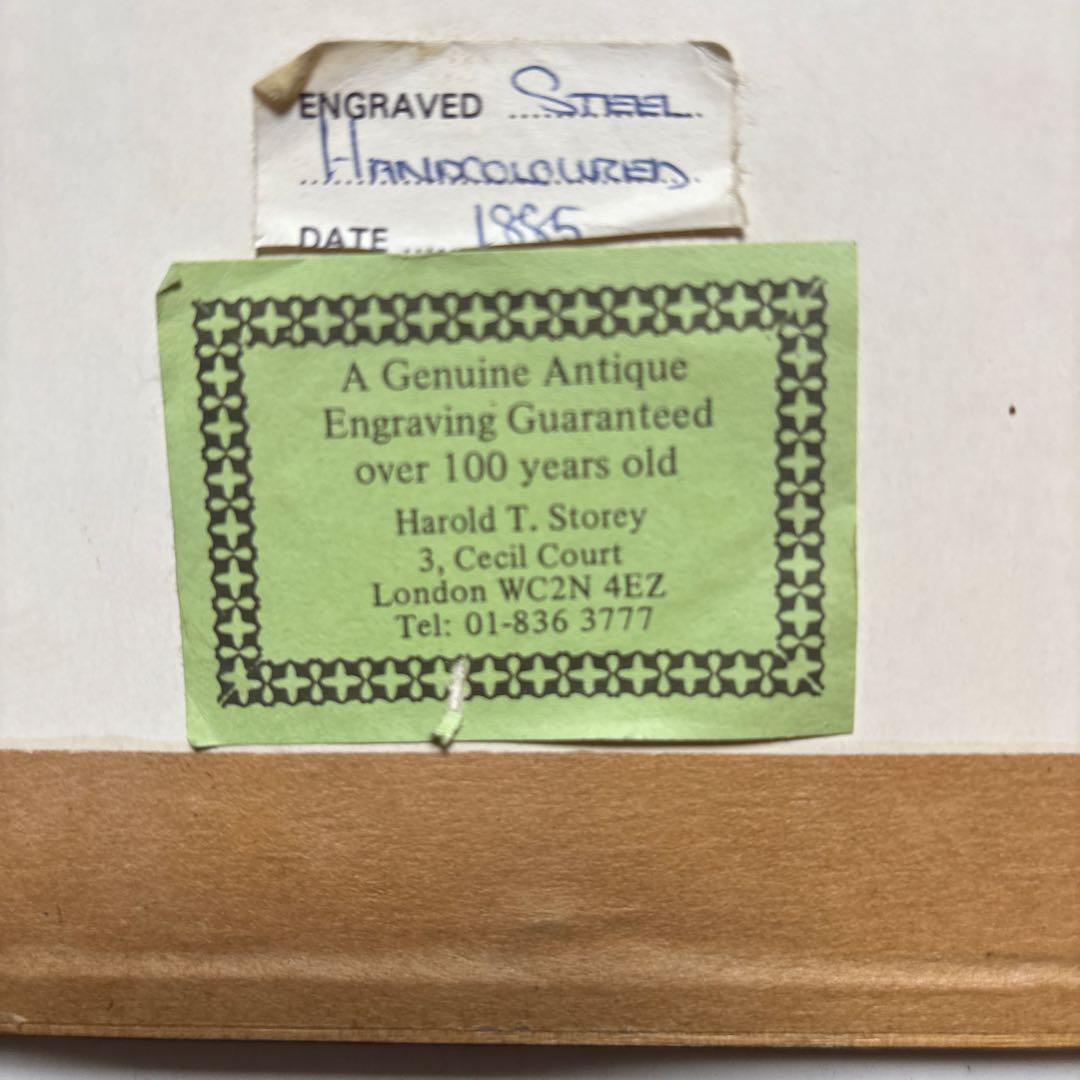 ロンドン ノーサンバーランド・ハウス1885年オリジナル手彩色鋼版画