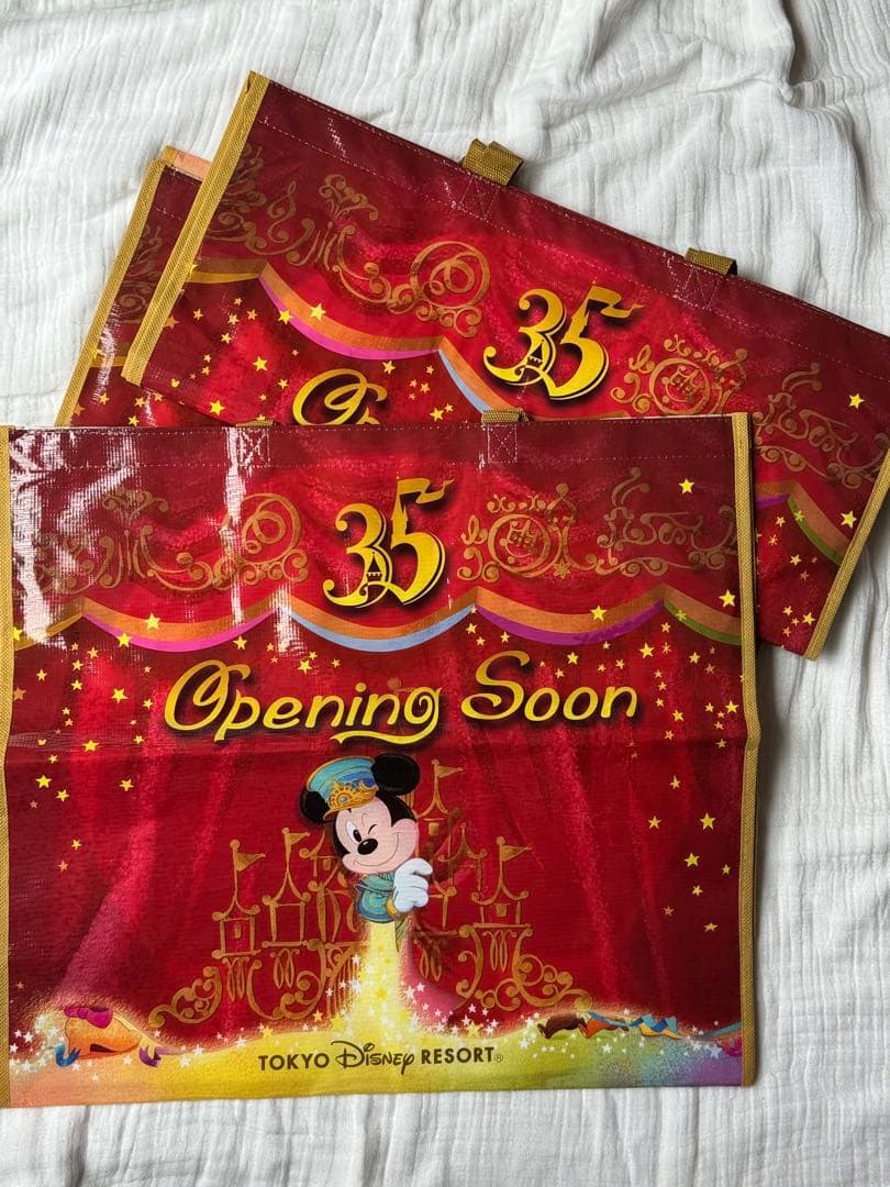 東京ディズニーリゾート ビニールバッグセット