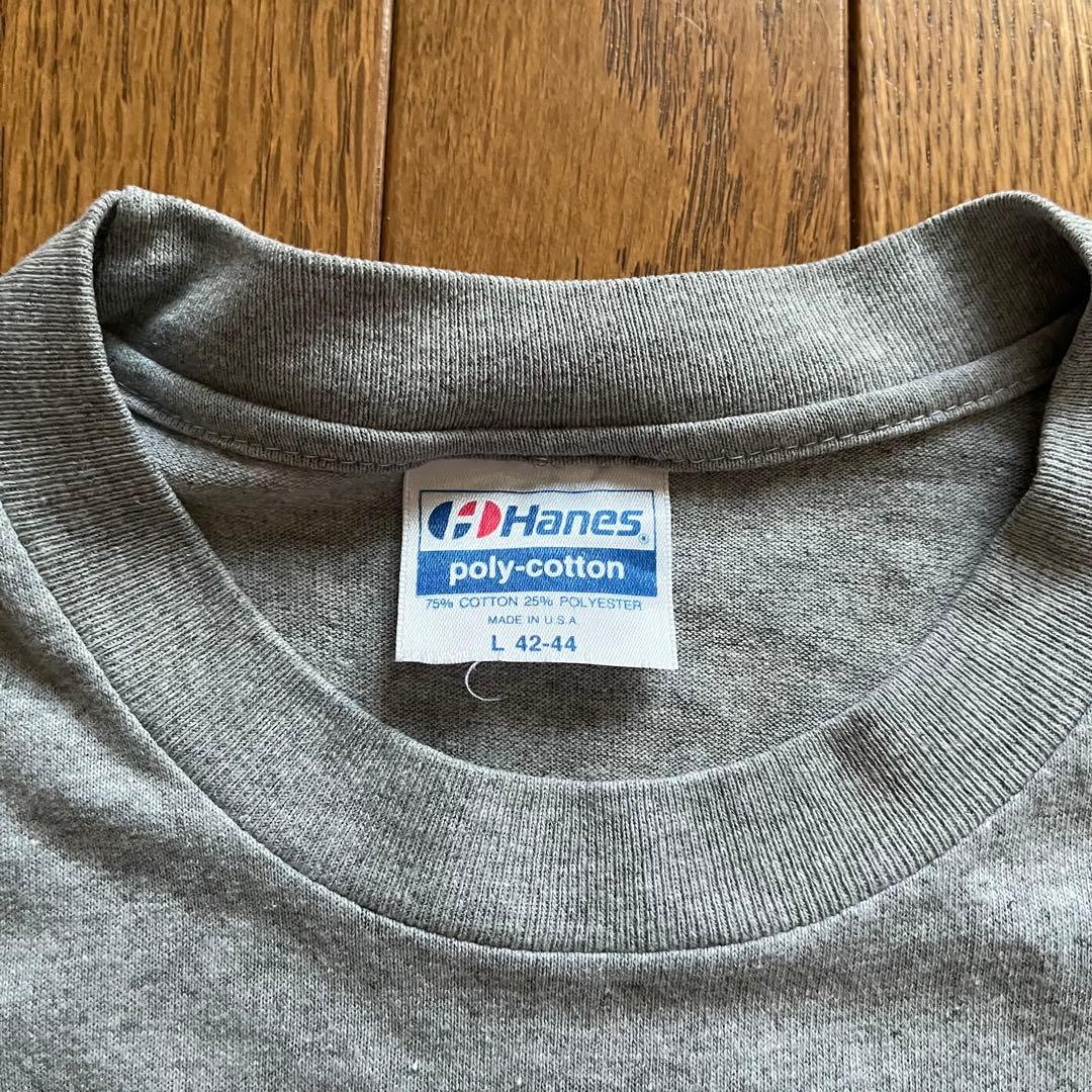 goodenough 91年 グラムg Tシャツ Hanesボディ レア