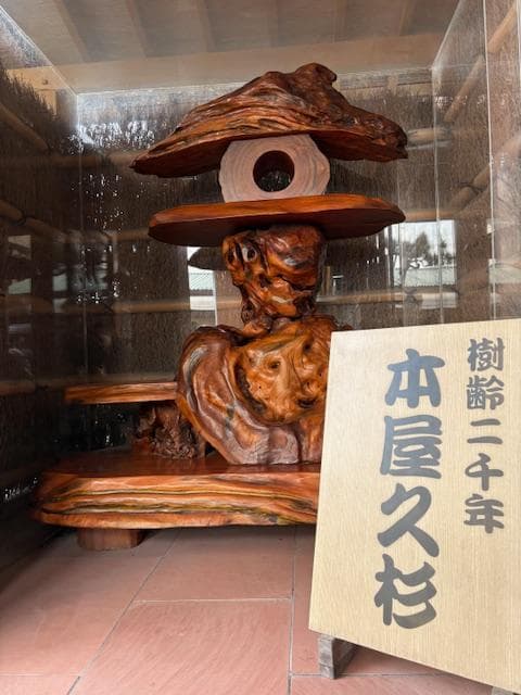 本屋久杉　屋久杉　オブジェ　灯籠　工芸品　天然木　希少　※商品説明必読