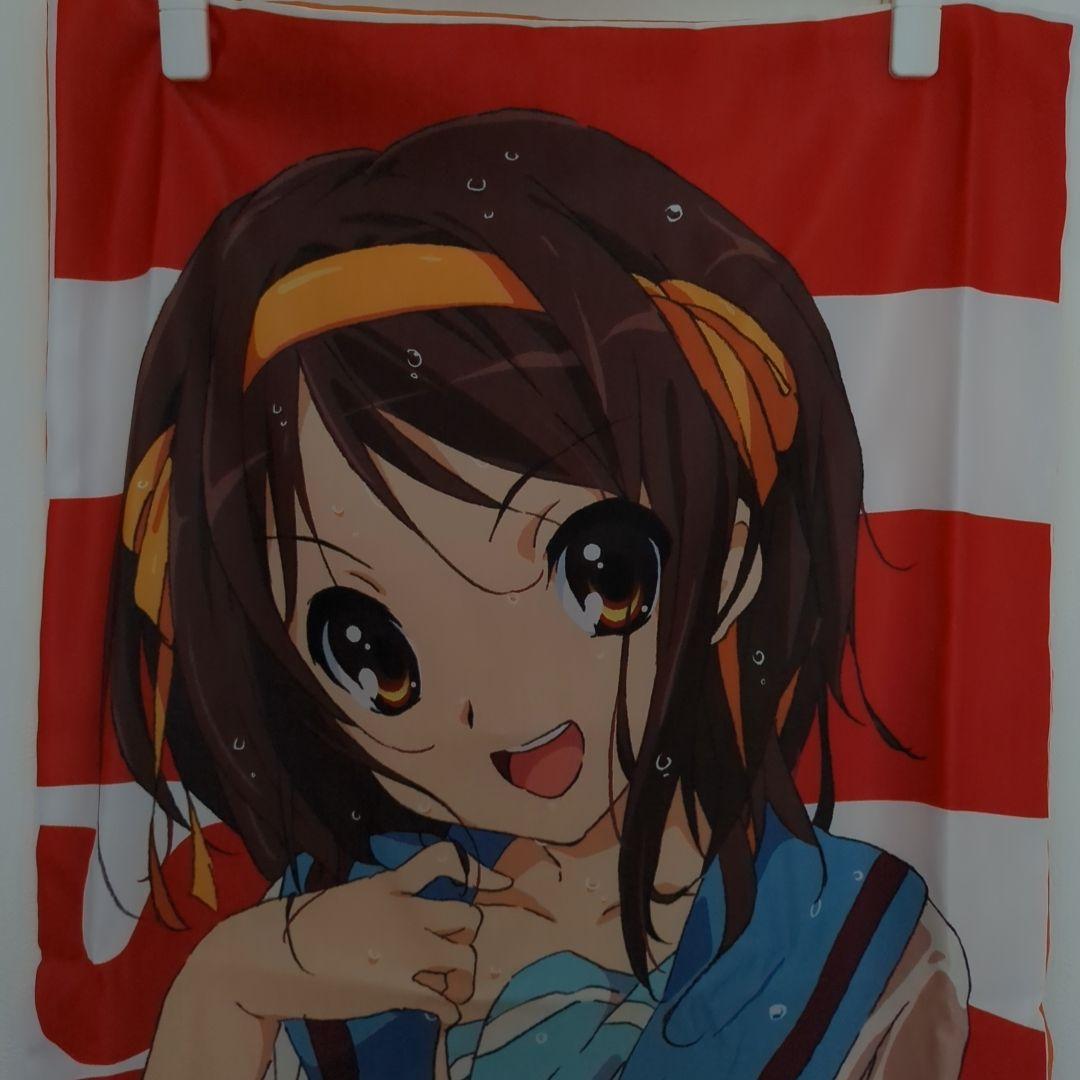 涼宮ハルヒの憂鬱　抱き枕カバー　ニュータイプ　25周年記念　イベント