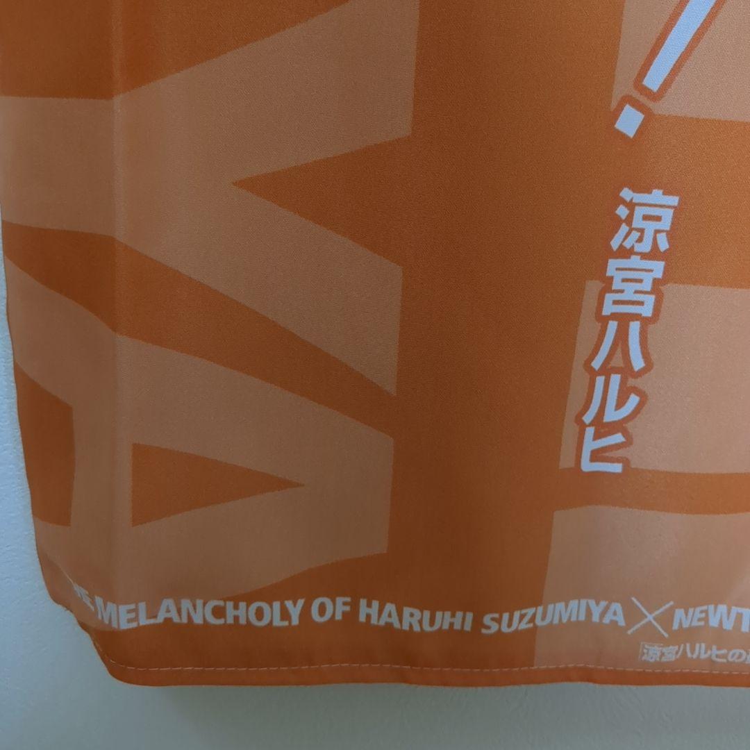 涼宮ハルヒの憂鬱　抱き枕カバー　ニュータイプ　25周年記念　イベント