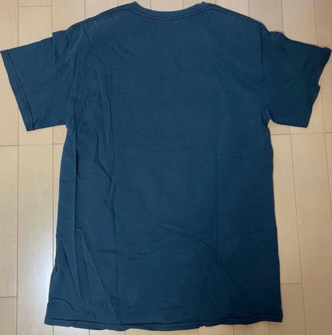 THE BONEZ Damaged Skull Tee 骸骨　Tシャツ