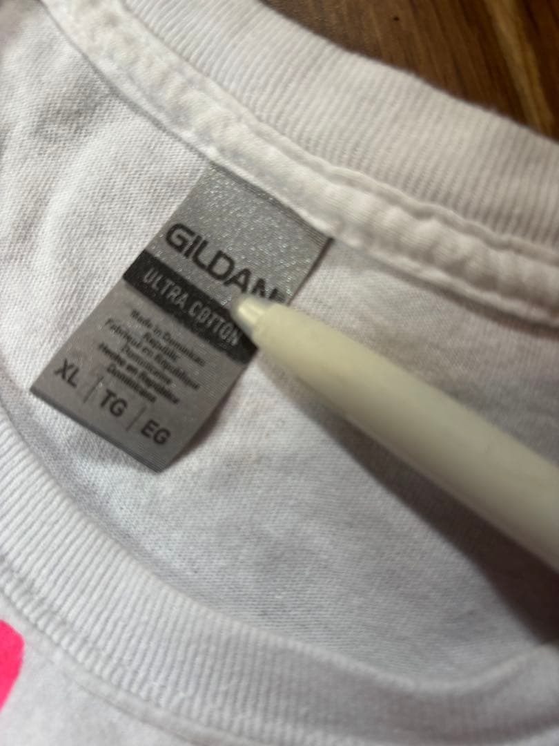 NIRVANA Tシャツ 人気ビッグサイズXL シカリオカルテル　カートコバーン