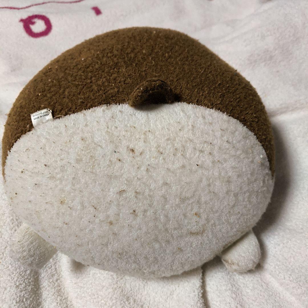 でっかいハムタンS ショコラ