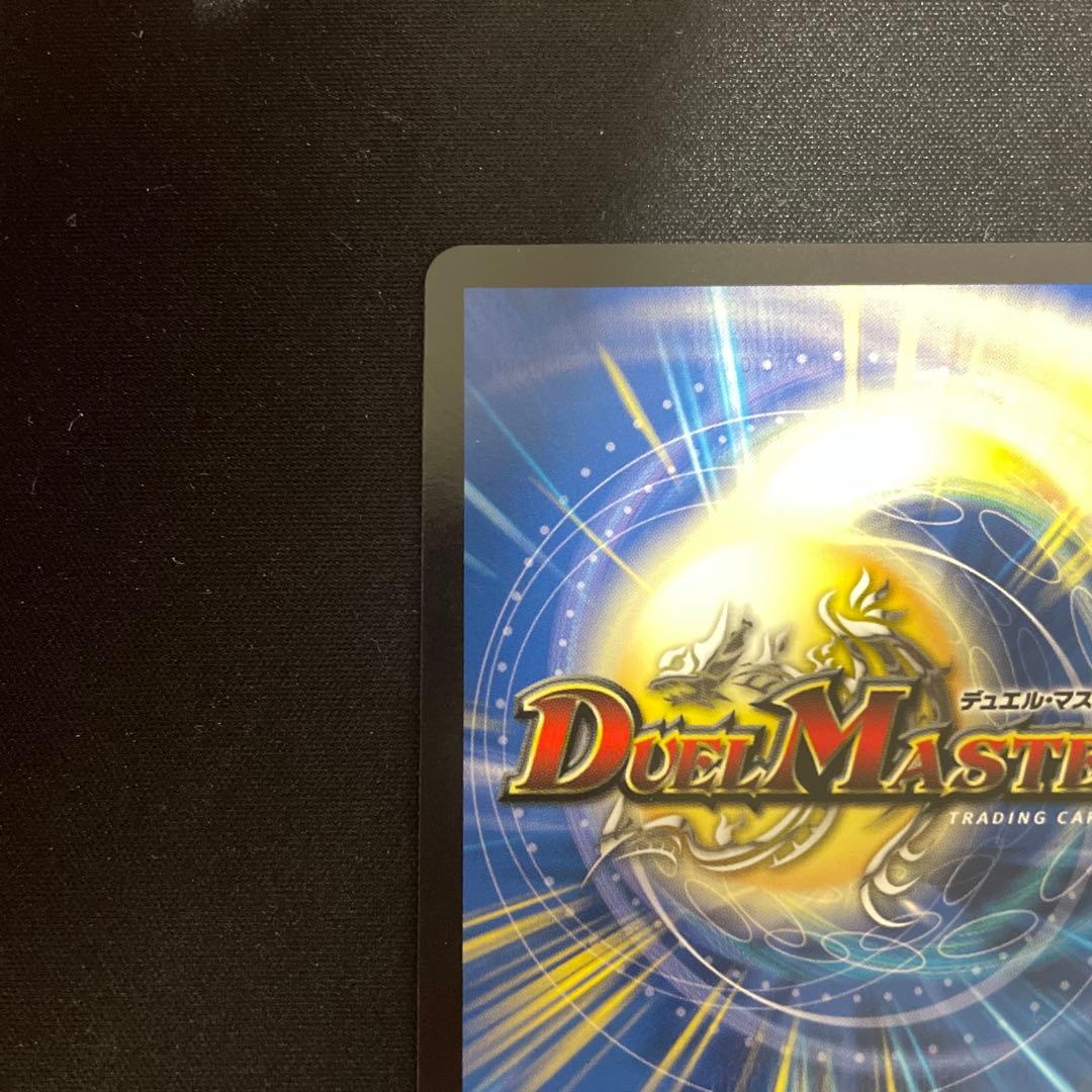 精霊龍王メルヴェイユ　サインシークレット