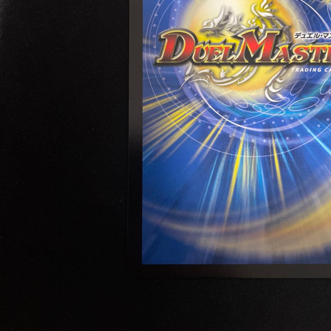 精霊龍王メルヴェイユ　サインシークレット