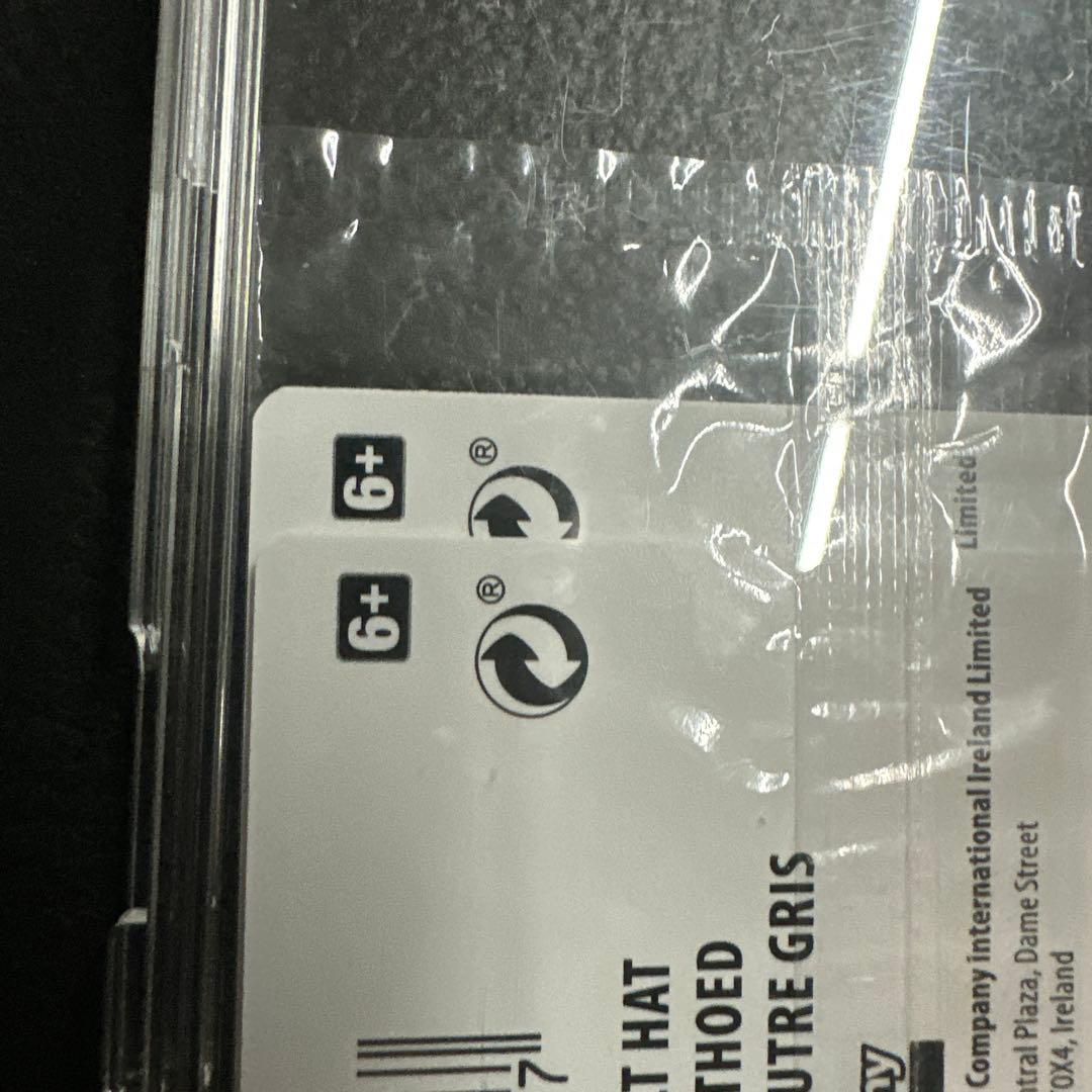 Pikachu with Grey Felt Hat ゴッホピカチュウ