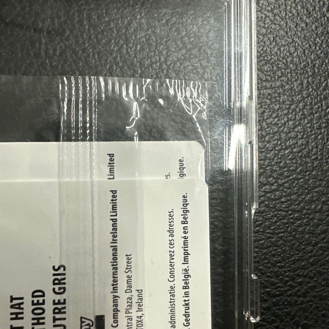 Pikachu with Grey Felt Hat ゴッホピカチュウ