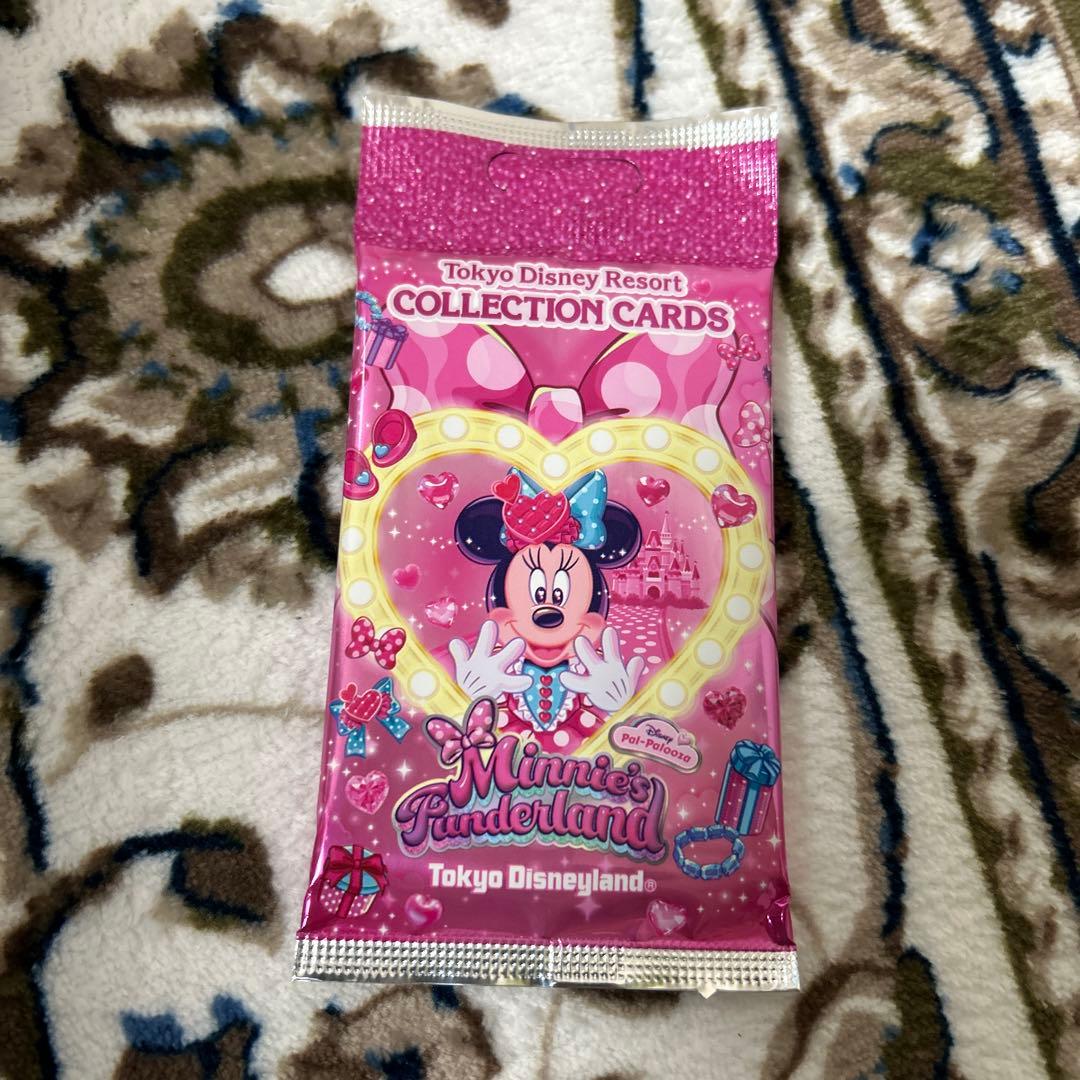 パルパルーザミニーマウスグッズ