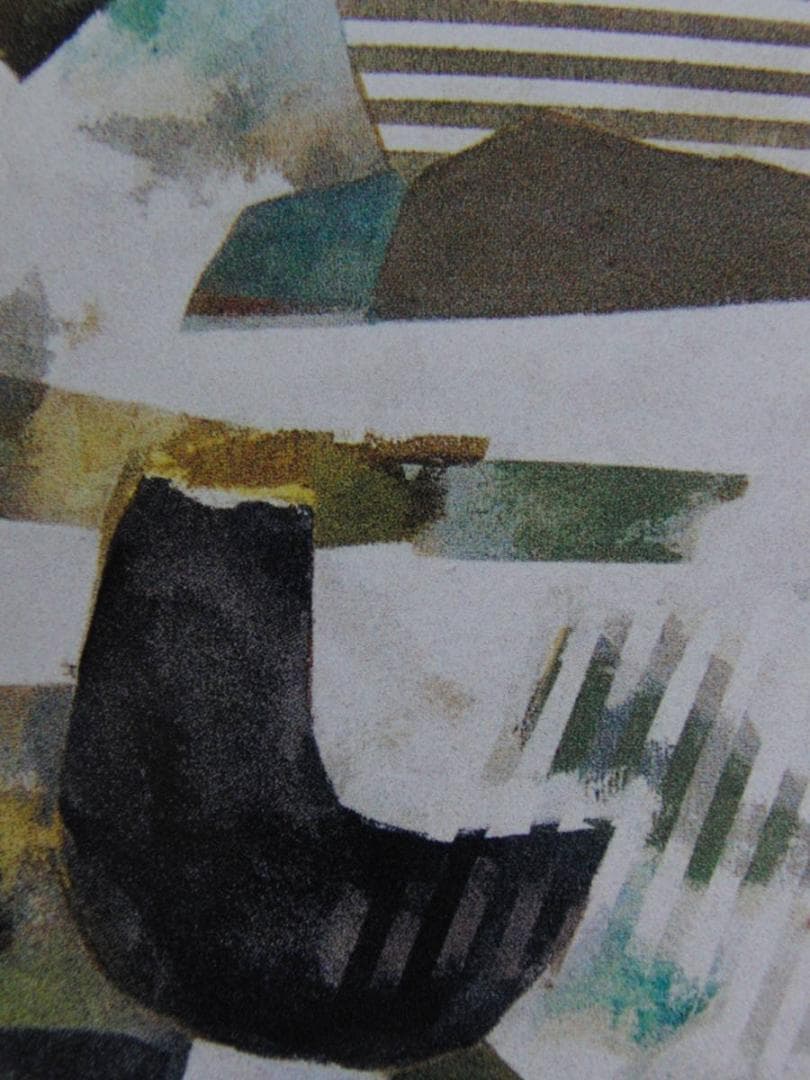 武田広男、【里の顔】、希少な額装用画集より、新品額装付