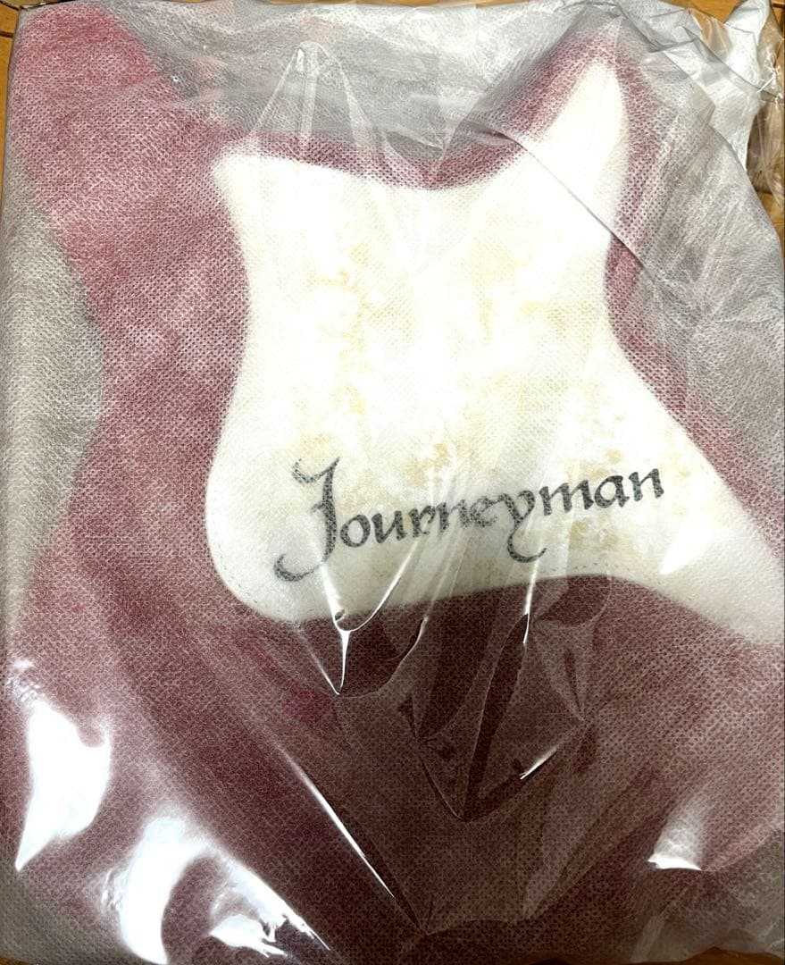 AMEX特典　GLAY 30th Anniversary キーホルダー&バッグ